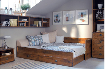 Extensibile picture 0